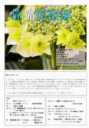 季刊　旅猫倶楽部　第50号　2024年7月夏期
