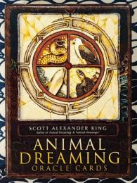 アニマル ドリーミン オラクルカード Animal Dreaming Oracle Cards