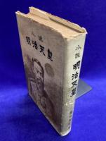 小説　明治天皇