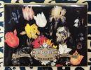 トランプ　ヤン・ブリューゲル（オーストリア）Piatnik Vinna Baroque Brueghel Playing Cards