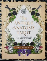 Antique Anatomy Tarot : A Deck and Guidebook for the Modern Reader アンティークアナトミータロット