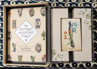 Antique Anatomy Tarot : A Deck and Guidebook for the Modern Reader アンティークアナトミータロット