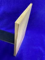 田園交響楽　新潮文庫