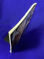 月刊Karnaカルナ　No.251  改題「氣マガジン」　2008年6月　★特集：石の癒力