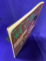 氣マガジン　1996年9月　通巻127号　★シリーズ特集　肥田式強健術　超健康法　★レイキの秘密