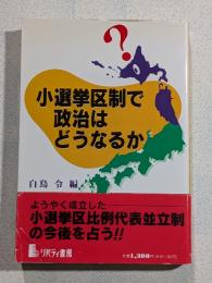 小選挙区制で政治はどうなるか