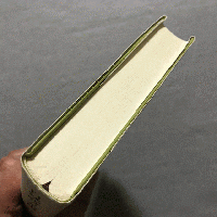 自然詩の系譜 : 20世紀ドイツ詩の水脈