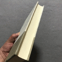 自然詩の系譜 : 20世紀ドイツ詩の水脈