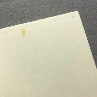 自然詩の系譜 : 20世紀ドイツ詩の水脈