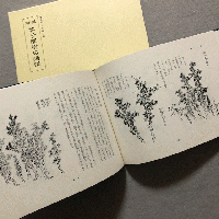 解説　芥子園樹石画譜　＜造園古書叢書4＞