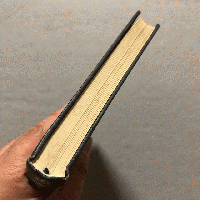 真珠 : そのできる仕組みと見分け方