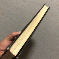 真珠 : そのできる仕組みと見分け方