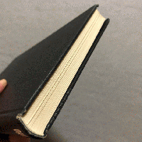 真珠 : そのできる仕組みと見分け方