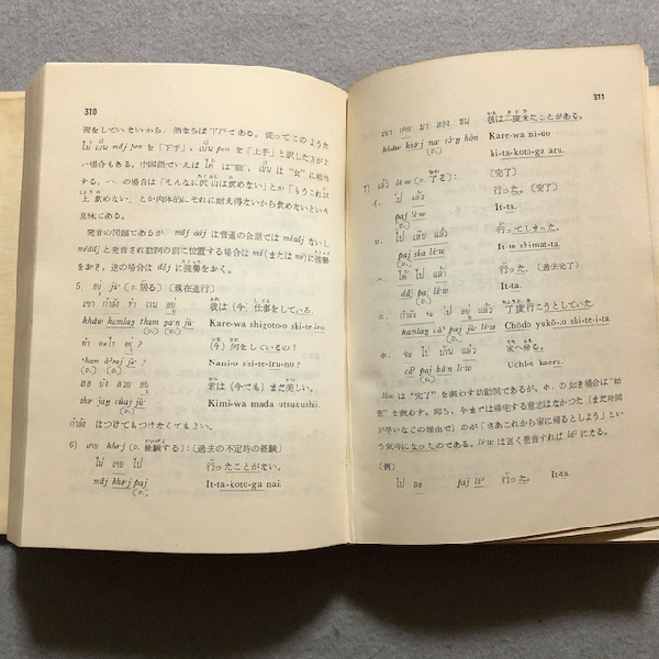 タイ語(日本語)基礎 : 日・泰双用(富田竹二郎 著) / 古本、中古本、古