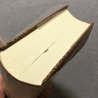 日本近世書跡成立史の研究