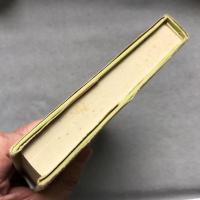 沙漠の花 : 詩と評論