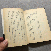 六百ポンドのゴリラ