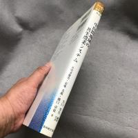 中山間地域の共生農業システム : 崩壊と再生のフロンティア