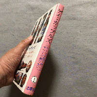 ゲイ・カップルズ : ゲイの子供を持つすべての親たちに