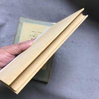 奥さんは嘘つき : 小説集
