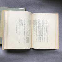 奥さんは嘘つき : 小説集