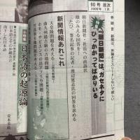季刊 邪馬台国