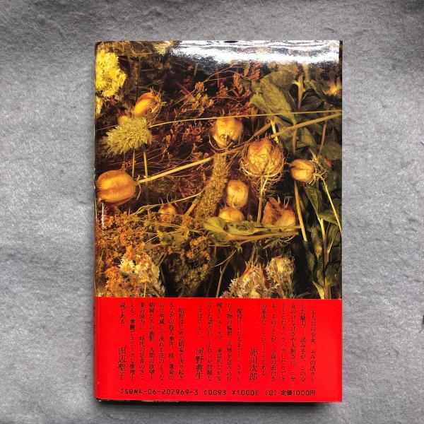 花園の迷宮(山崎洋子 著) / 古本、中古本、古書籍の通販は「日本の
