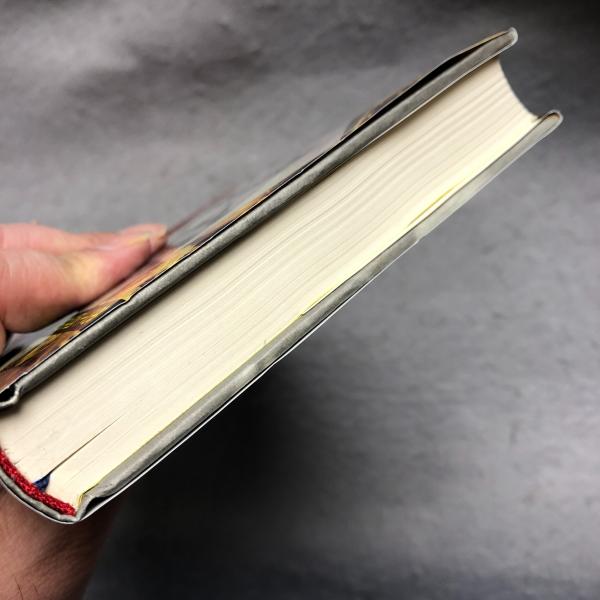 花園の迷宮(山崎洋子 著) / 古本、中古本、古書籍の通販は「日本の