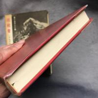 挑戦者 : '65アルプス登攣の記録