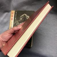 挑戦者 : '65アルプス登攣の記録