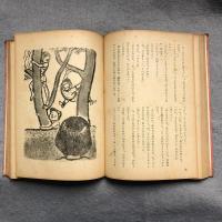 ドクトル先生物語
