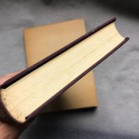 高橋信美先生