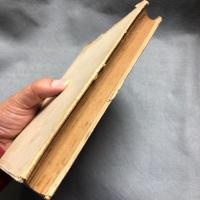 天狗談 : 随筆