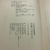 天馬「Pegasus」