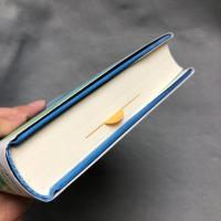 ポスト「3・11」小説論 : 遅い暴力に抗する人新世の思想