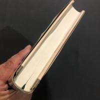 荒川と御成街道と : 小説岩田三史