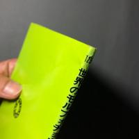 世界のモルフォチョウ