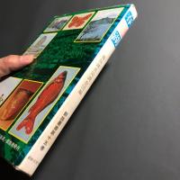 春採湖