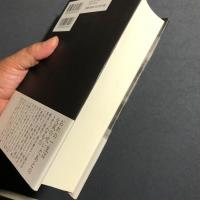 頭山満伝