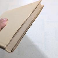 構造物の弾塑性安定応力