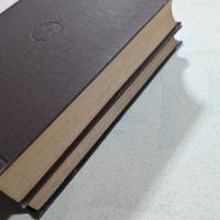 稻及米之研究
