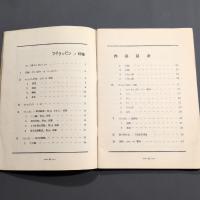 フイリッピンノ印象