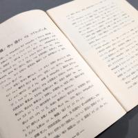 フイリッピンノ印象