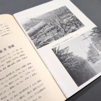 フイリッピンノ印象