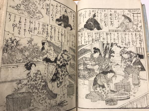 日用雑録婦人珠文匣群花百人一首和歌薗 ぐんかひゃくにんいっしゅわかのその 東籬亭 悠翁 編 池田 英泉 画 古本 中古本 古書籍の通販は 日本の古本屋 日本の古本屋