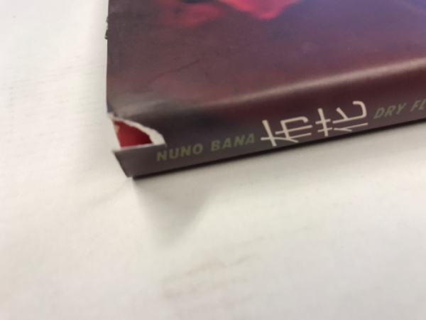 書籍・山上るいの「枯れていく花」 趣味 | endageism.com