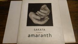 Amaranth : Sakata photography