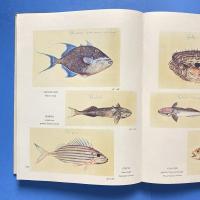 The New World：The First Pictures of America