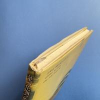 菜の花畑の黄色の底で