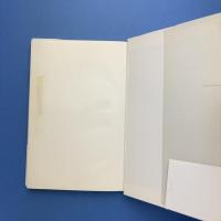 海曜日の女たち